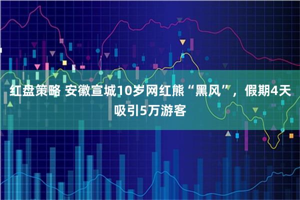 红盘策略 安徽宣城10岁网红熊“黑风”，假期4天吸引5万游客