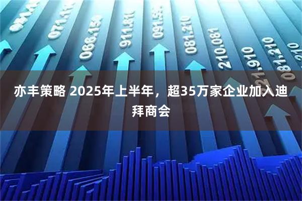 亦丰策略 2025年上半年，超35万家企业加入迪拜商会