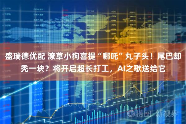 盛瑞德优配 潦草小狗喜提“哪吒”丸子头！尾巴却秃一块？将开启超长打工，AI之歌送给它
